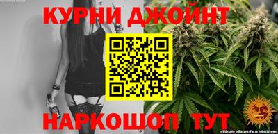 стаф Новозыбков