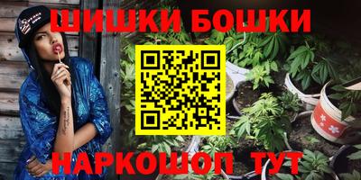 стаф Новозыбков