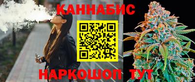 стаф Новозыбков